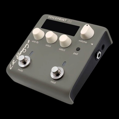 LR Baggs Voiceprint DI Acoustic Guitar Impulse Response Pedal