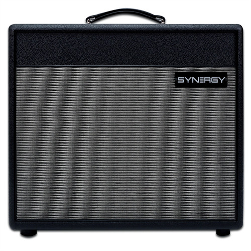 Synergy 1x12 Extension Speaker Cabinet