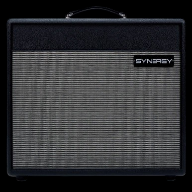 Synergy 1x12 Extension Speaker Cabinet