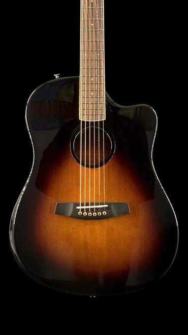 Baggs AEG-1 Acoustic-Electric Guitar - Sunburst - Front Close