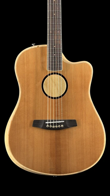 Baggs AEG-1 Acoustic-Electric Guitar - Torrefied Sitka Spruce - Front Close