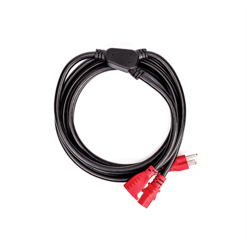 D'Addario IEC Power Cable+ 10'