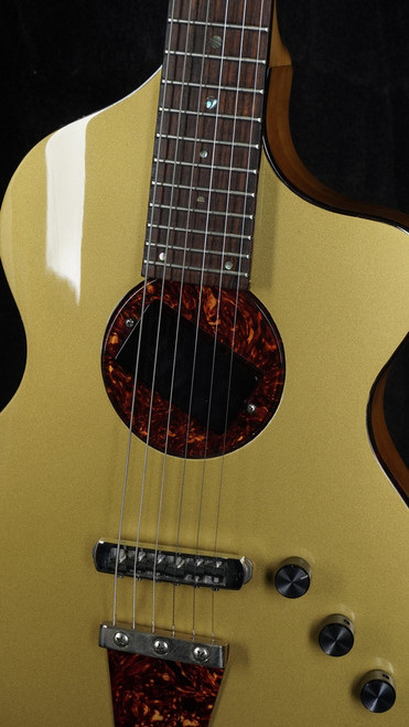 Preowned Rick Turner Model 1 in Gold Top