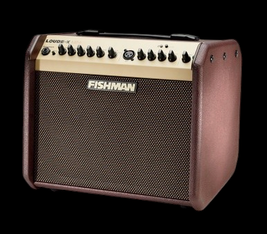 Fishman Loudbox Mini with Bluetooth Acoustic Amplifier