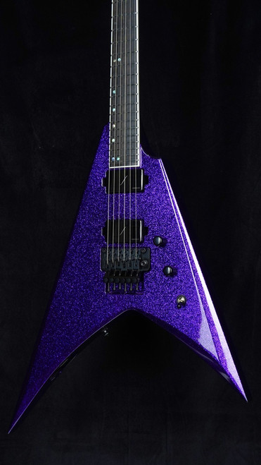 ESP Products - The Guitar Sanctuary