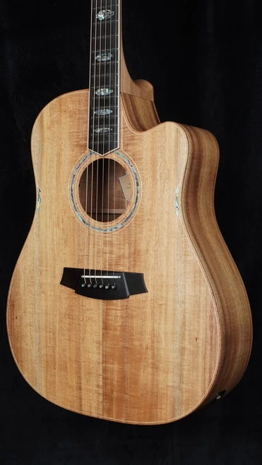 Cole Clark Fat Lady FL3EC - All Blackwood Quarter Close