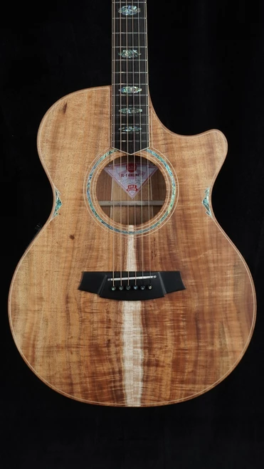 Cole Clark TL3EC Thinline Acoustic-Electric - All Blackwood Front Close