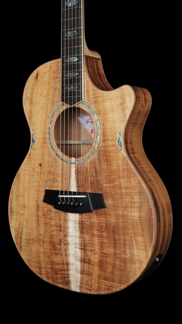 Cole Clark TL3EC Thinline Acoustic-Electric - All Blackwood