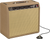 Fender 62 Princeton Amp Chris Stapleton Edition