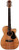 Maton Blackwood Series EBW808C Cutaway Model