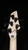 Dingwall NG3 Nolly Getgood Signature 5-String Bass in Celestial Blue with Maple Fretboard - Headstock Back