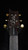 2023 PRS Hollowbody II Piezo in Tobacco Sunburst with Ten Top and Back 2023 PRS Hollowbody II Piezo in Tobacco Sunburst with Ten Top and Back