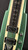 Duesenberg Fairytale Lap Steel in Catalina Harbor Green