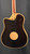 LR Baggs AEG-1 Acoustic Electric Guitar with Torrefied Sitka Spruce Top