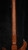 Preowned Paul Reed Smith Private Stock Custom 25 in Electric Tiger Preowned Paul Reed Smith Private Stock Custom 25 in Electric Tiger