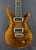 Preowned Paul Reed Smith Private Stock Paul's Guitar LTD Run in Violin