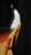 Vintage Fender Stratocaster 1962 in Sunburst Vintage Fender Stratocaster 1962 in Sunburst
