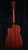 Beard Trailhead-E All Mahogany Roundneck Resonator with Cutaway in Scarlet