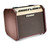 Fishman Loudbox Mini with Bluetooth Acoustic Amplifier