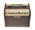 Fishman Loudbox Mini with Bluetooth Acoustic Amplifier
