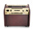 Fishman Loudbox Mini with Bluetooth Acoustic Amplifier
