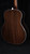 Preowned Taylor 858e LTD 50th Anniversary Rosewood Grand Orchestra 12-String