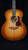 Preowned Taylor Gold Label 814e Honduran Rosewood with Sunburst Top