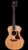 Taylor Gold Label 712e Grand Concert | Indian Rosewood & Torrefied Spruce