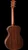 Taylor Gold Label 712e Grand Concert | Indian Rosewood & Torrefied Spruce