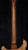 PRS Paul's Guitar Mango Top Limited Edition in Tiger Eye