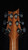 PRS Paul's Guitar Mango Top in Dark Tiger