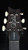 Preowned 2025 PRS Custom 24 with 10 Top in Carroll Blue