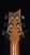 PRS Signature Dealer Exclusive Custom 24 - Artist Grade Quilt Top - PS Jade Fade Headstock Back
