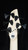 Dingwall Combustion Nashville Edition 5-String Bass - Whalepool Blue - Maple Fretboard - Headstock Back