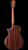 Taylor Next-Gen 814ce LTD - Casablanca Beige Metallic Top - Back Whole Angle