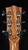 Maton Master Built Dreadnought Headstock Back