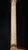 Cole Clark TL3EC Thinline Acoustic-Electric - All Blackwood Neck Back