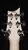 PRS Tekton T - Imperial Topaz (Natural Neck) - Headstock Back