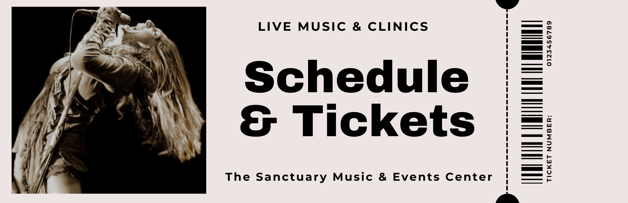 Concert Ticket Graphic