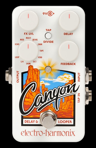 The Guitar Sanctuary | Electro-Harmonix | Canyon | Delay and