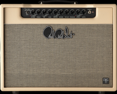 The Guitar Sanctuary | Paul Reed Smith | DGT 15 1x12 Combo | David