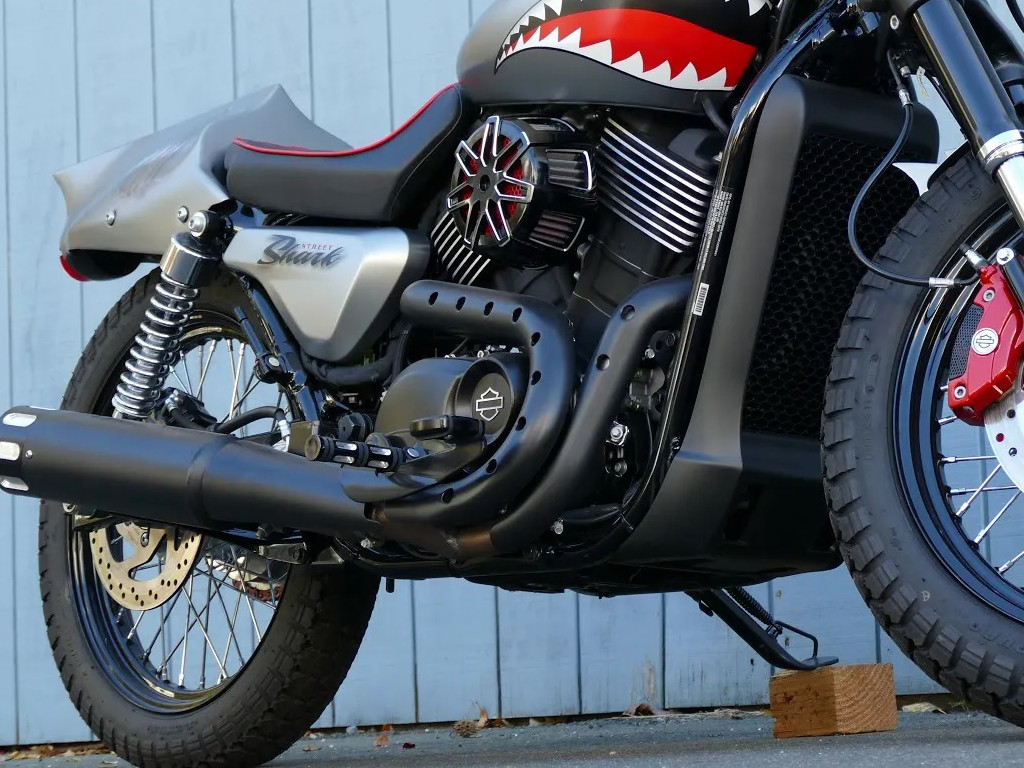 Harley XL883 1200 X48 Modified Pedal 