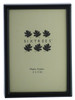 Sixtrees Cambourne 3-400-23 Satin Black Metal 3x2 inch Photo Frame