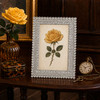 Sixtrees Hannah Handmade Crystal encrusted silver 5 x 7 inch Photo Frame