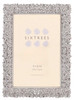 Sixtrees Hyacinth Enchanting SIlver Floral metal 4 x 6 inch Photo Frame