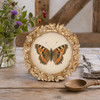Sixtrees Robin Enchanting Golden Butterfly & Floral Circular Photo Frame 5 inch Circular