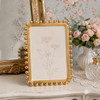 Sixtrees Zoe Elegant Chic Metallic Beaded Gold 4 x 6 inch Photo Frame