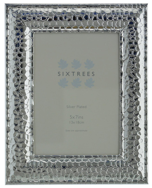 Sixtrees 6-314-57 Thorburn Embossed Silver Plated 7 x 5 inch Photo Frame