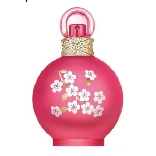 Britney Spears Britney Spears Fantasy in Bloom Eau de Toilette Spray 50ml