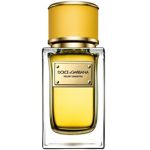 Dolce & Gabbana Velvet Ginestra Eau De Parfum Spray 50ml